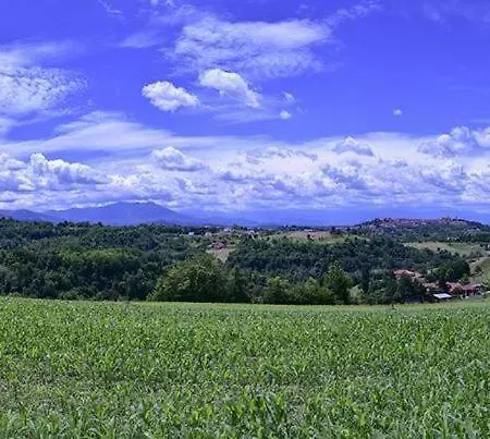 Ca Dei Turco 別荘